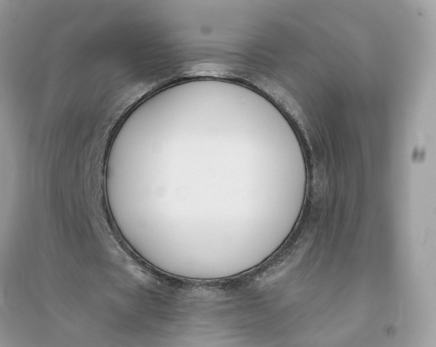 X0000096140529200802011212