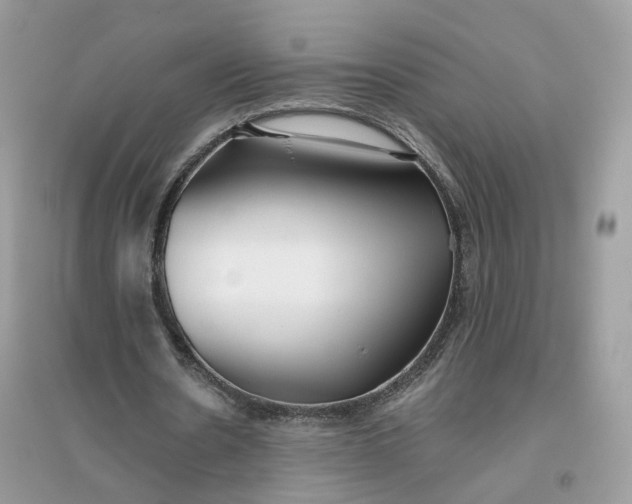 X0000096140530200802011212