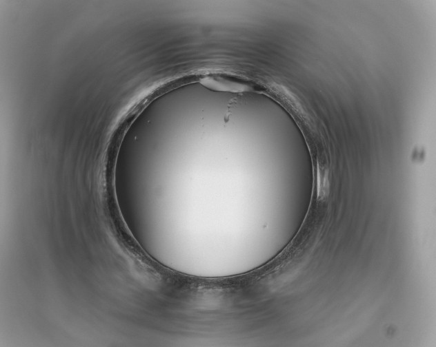 X0000096140531200802011212