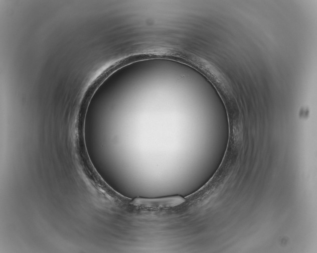 X0000096140532200802011212