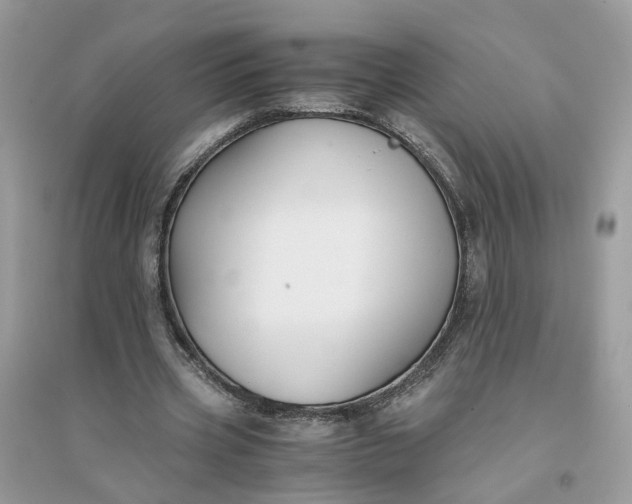 X0000096140533200802011212