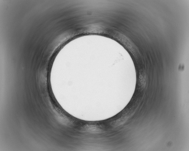 X0000096140534200802011212