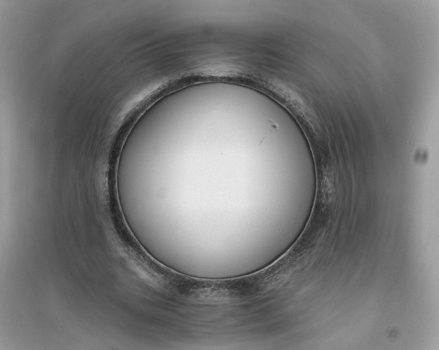 X0000096140535200802011212