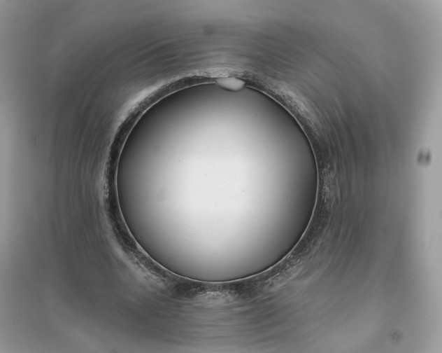 X0000096140536200802011212