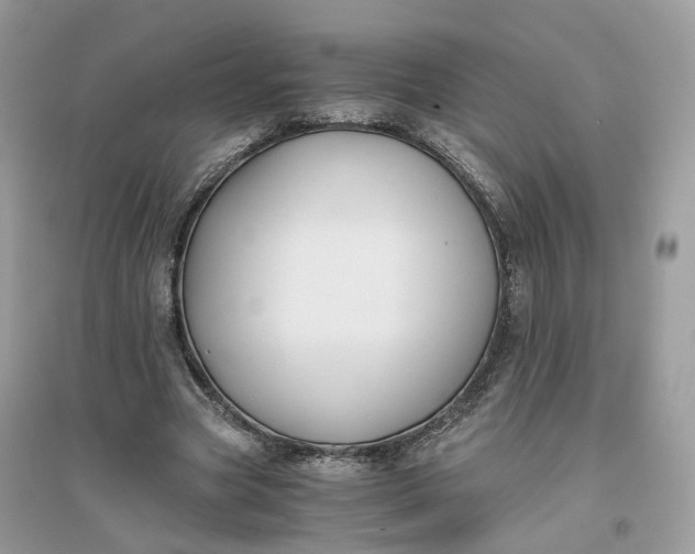 X0000096140537200802011212