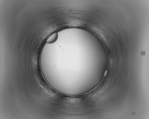 X0000096140539200802011212