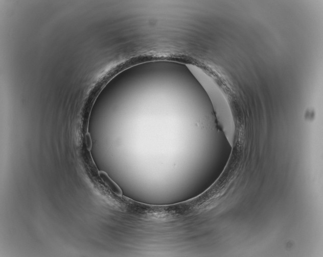 X0000096140540200802011213