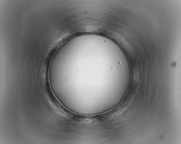X0000096140542200802011213