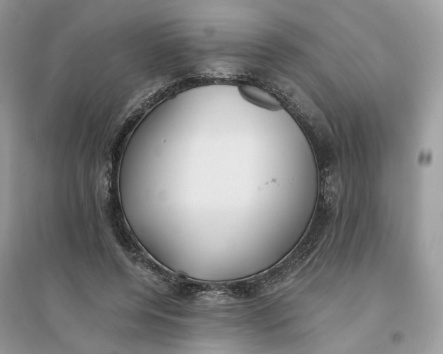 X0000096140544200802011213