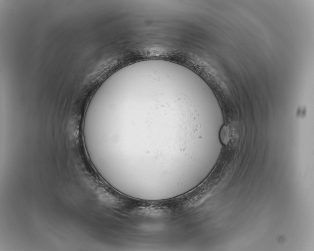 X0000096140545200802011213