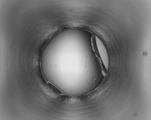 X0000096140546200802011213