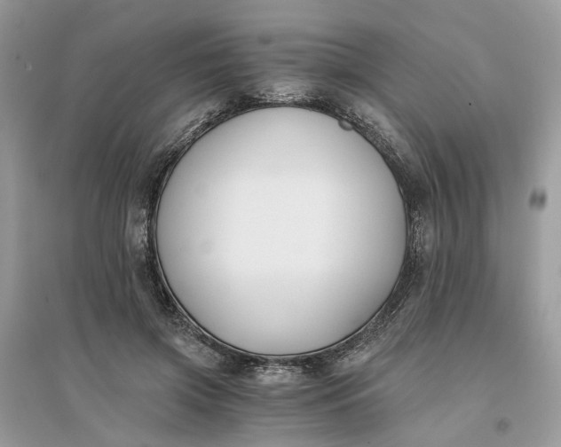 X0000096140549200802011213
