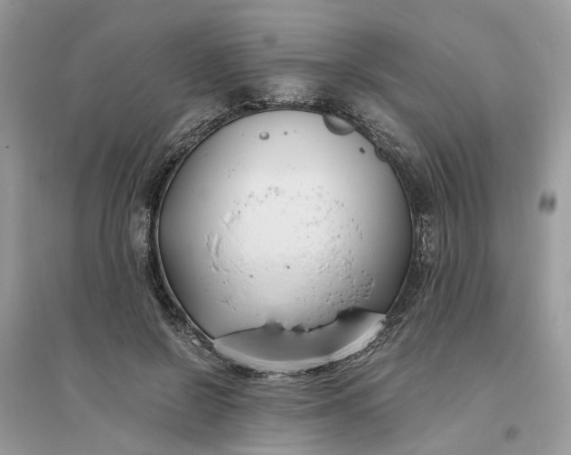X0000096140550200802011213