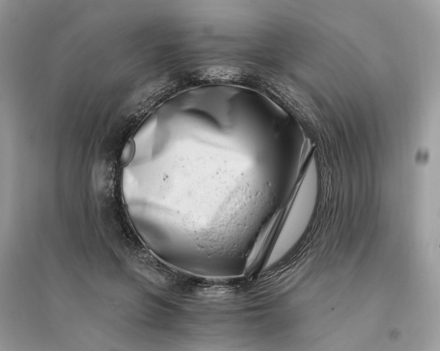 X0000096140551200802011213