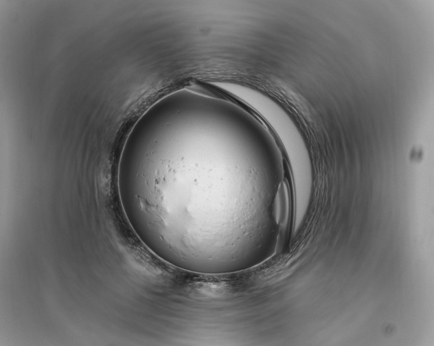 X0000096140552200802011213