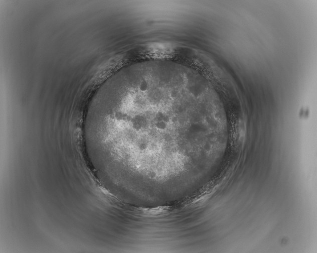 X0000096140553200802011213