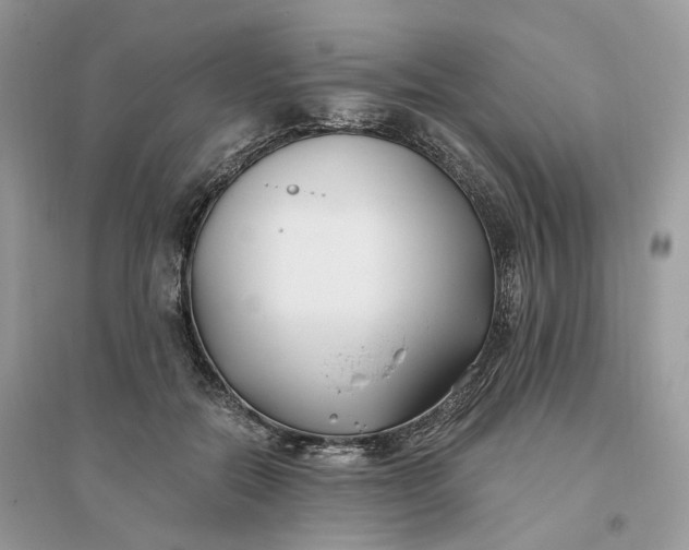 X0000096140554200802011213