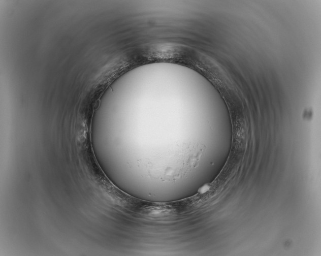 X0000096140555200802011213