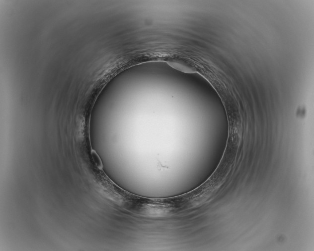 X0000096140556200802011213