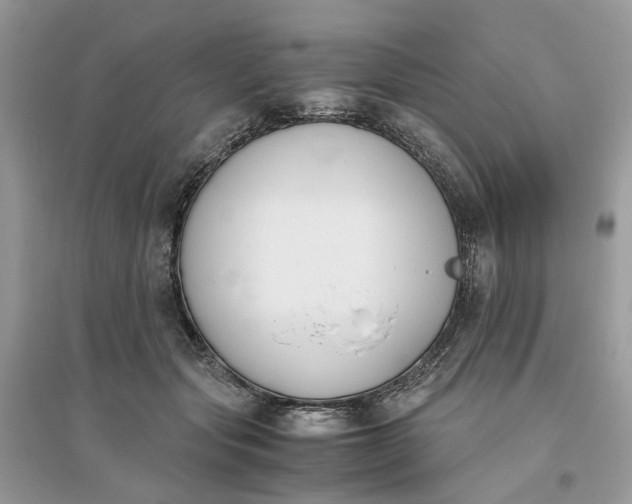 X0000096140557200802011213