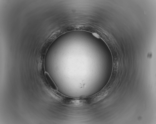 X0000096140558200802011213