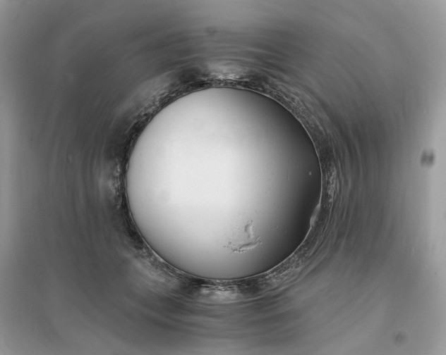 X0000096140559200802011213