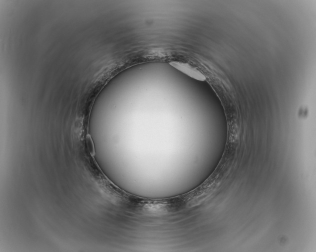 X0000096140560200802011213