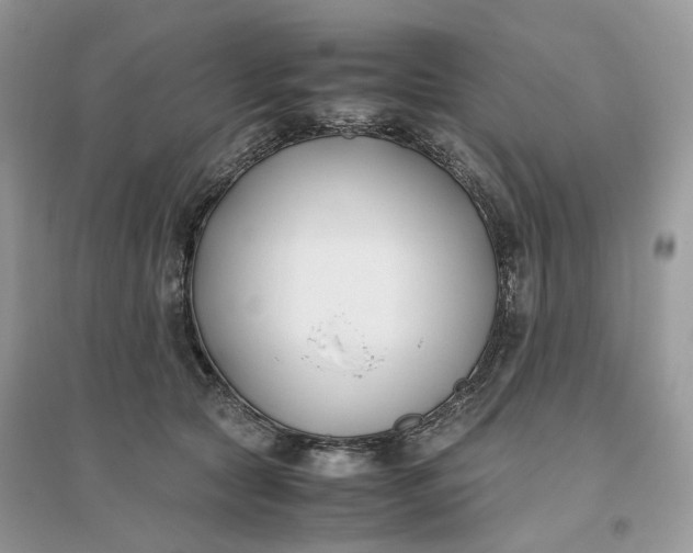 X0000096140561200802011213