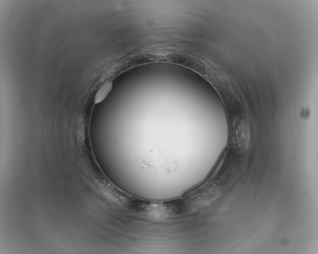 X0000096140562200802011213