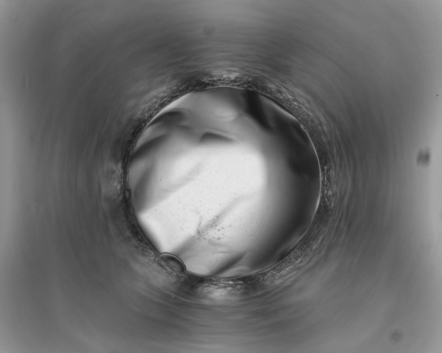 X0000096140563200802011213