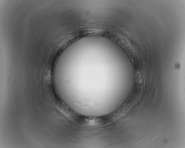 X0000096140564200802011213