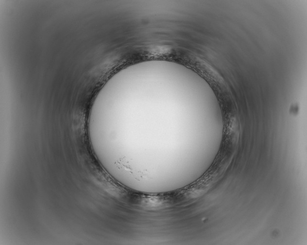 X0000096140565200802011213