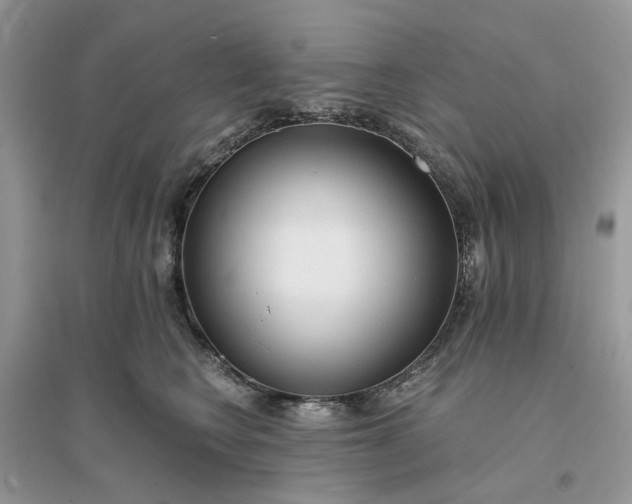 X0000096140566200802011213