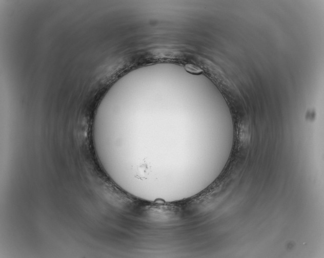 X0000096140567200802011213