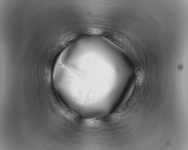 X0000096140568200802011213