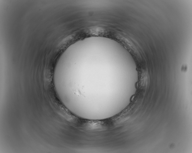 X0000096140569200802011213