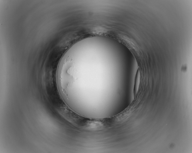 X0000096140572200802011213