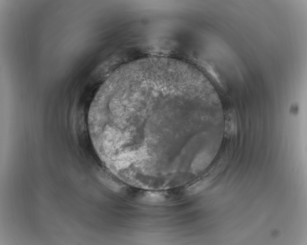 X0000096140573200802011213