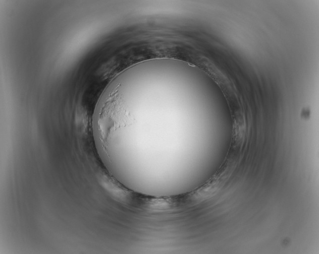 X0000096140574200802011213