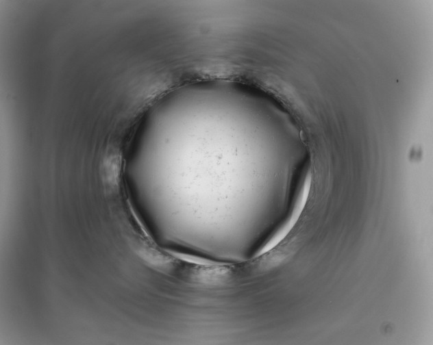 X0000096140576200802011213