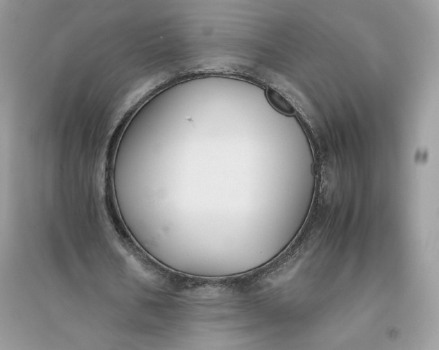X0000096140578200802011212