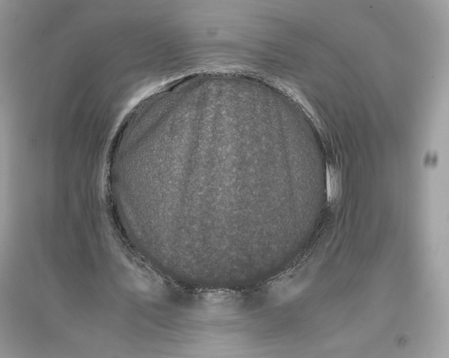 X0000096140579200802011212