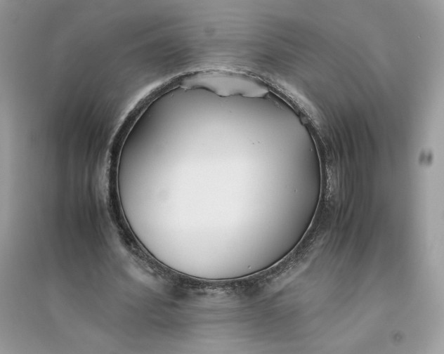 X0000096140580200802011212
