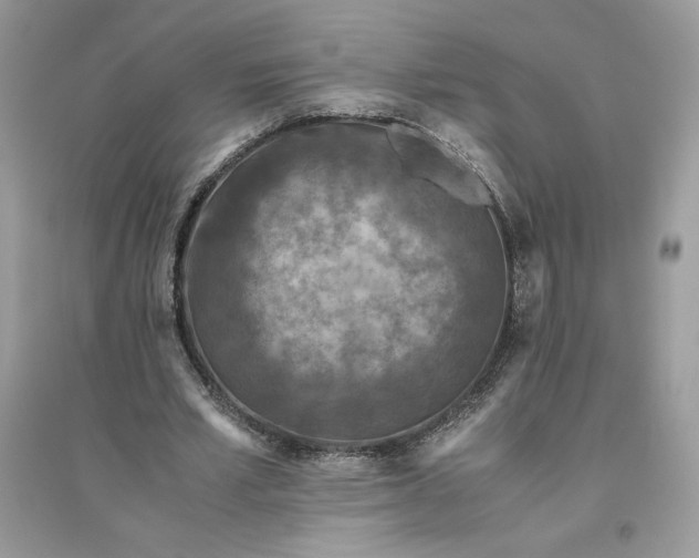 X0000096140581200802011212