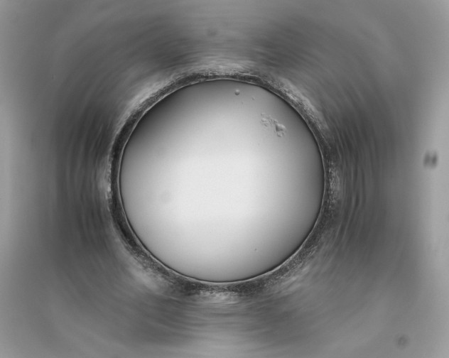 X0000096140582200802011212