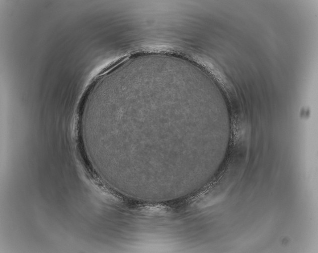 X0000096140583200802011212