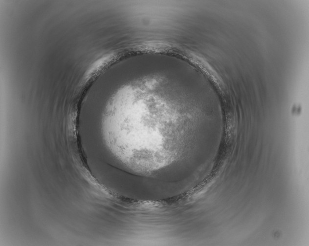 X0000096140585200802011212