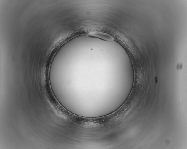 X0000096140586200802011212