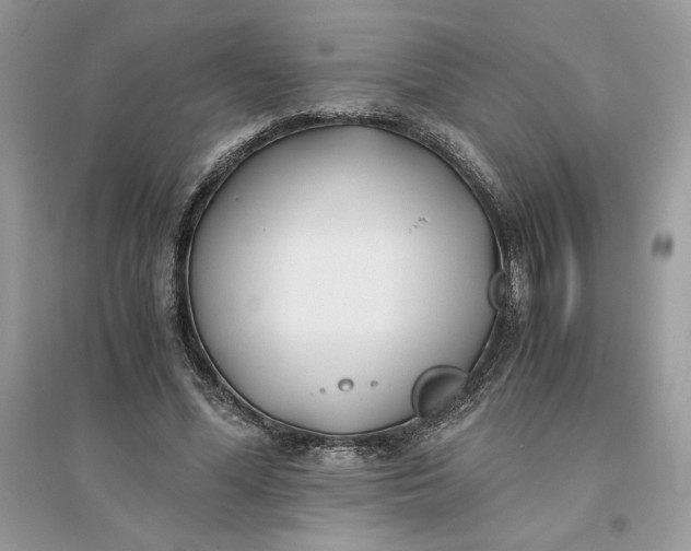X0000096140588200802011212