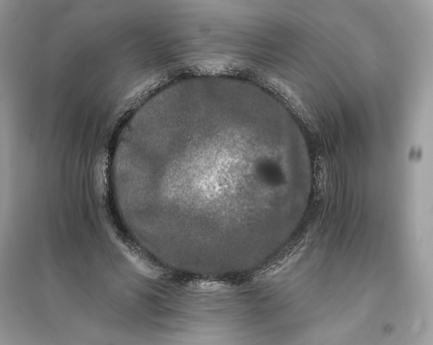 X0000096140590200802011212